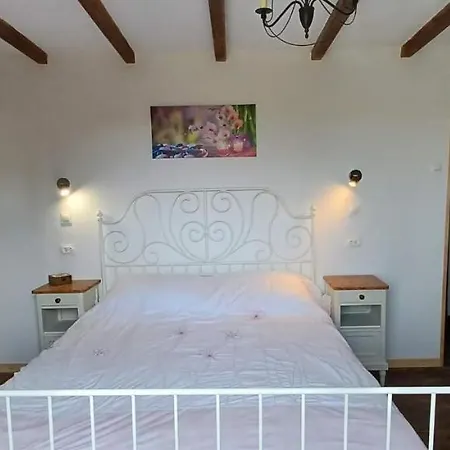 Le Quereau Tatil Evi *